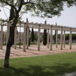 Columnas de opinión CDTC