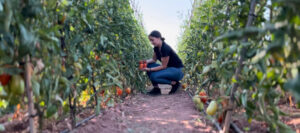 Sabor, calidad y comunidad: así es la Frutería La Niña de Palma Palmilla